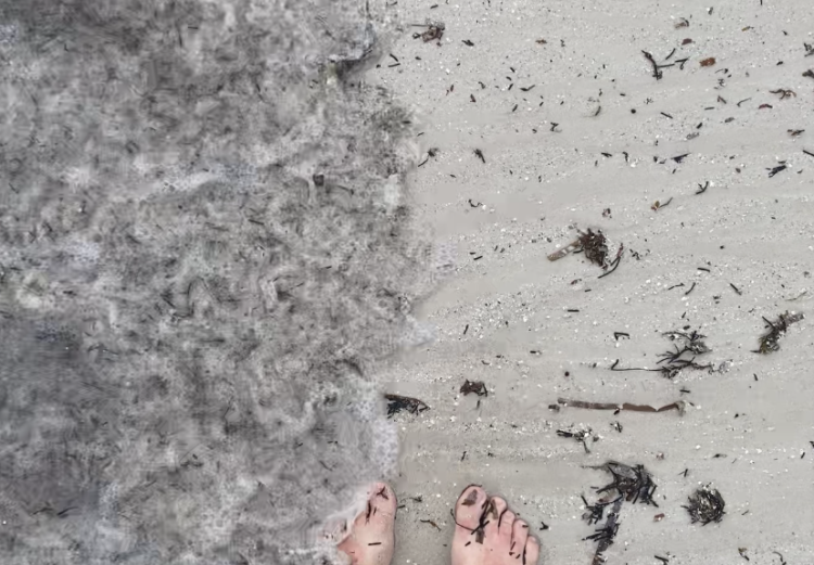 Fotografia - Pé na areia 
